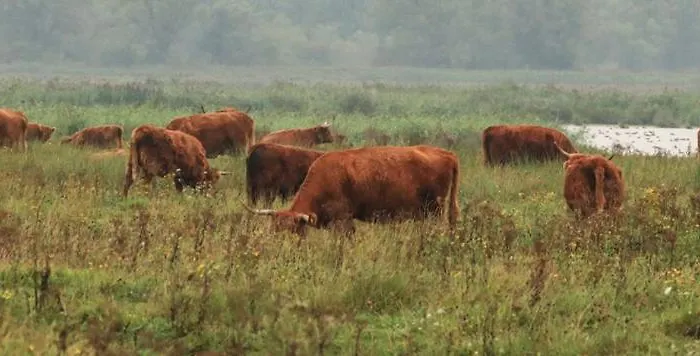 Houseboats Úszó hotel